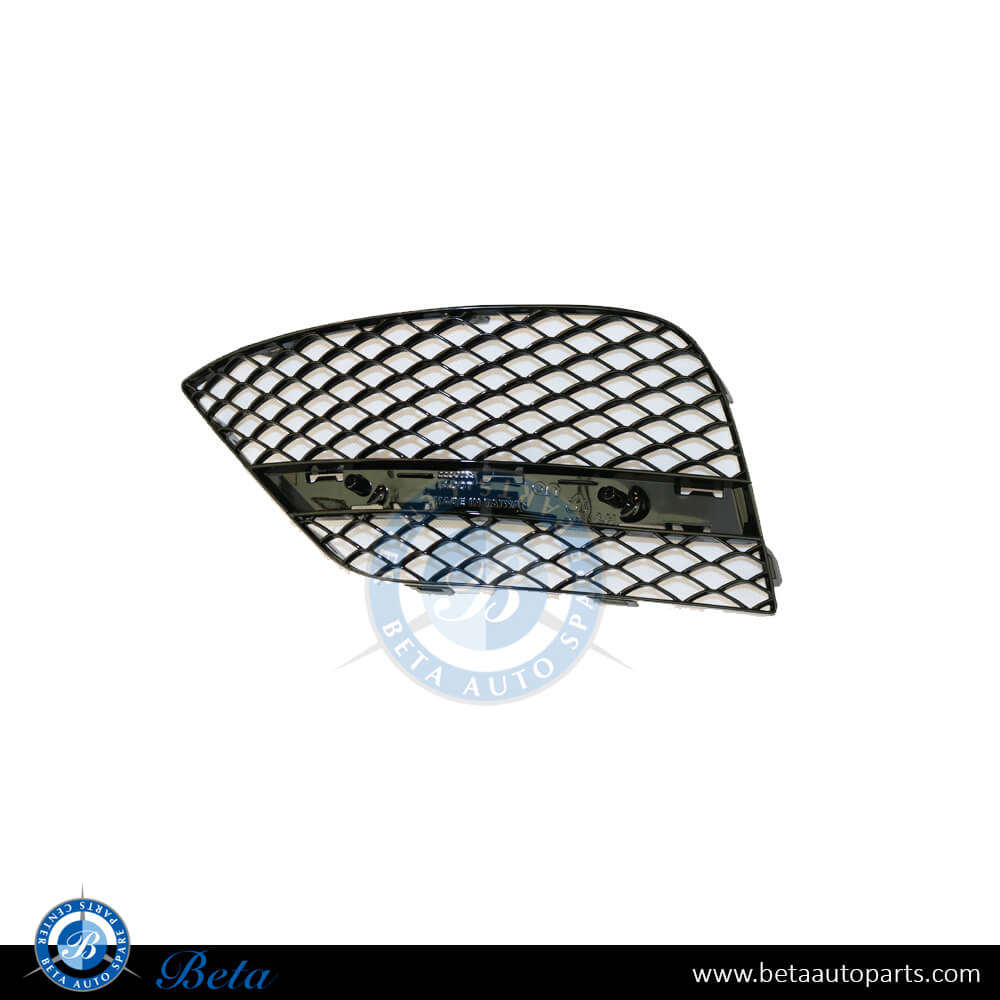 Left Side Front Bumper Outer Grille Normal AMG for Mercedes S-Class W222 2014-up models, Part Number 2228850353 Left Side Front Bumper Outer Grille Normal AMG for Mercedes S-Class W222 2014-up models, Part Number 2228850353